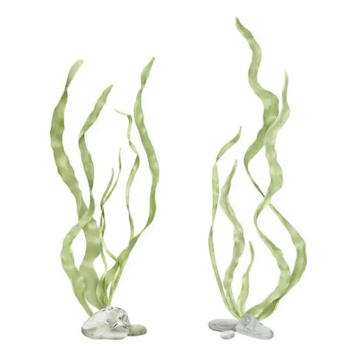 Framed Print : Green seaweed on pebbles. Digital watercolor illustration