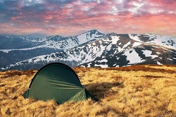 Green tent on amazing meadow in spring mountains in sunset time. Landscape photography, travel concept