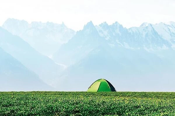 Green tent on amazing meadow in summer mountains. Landscape photography, travel concept