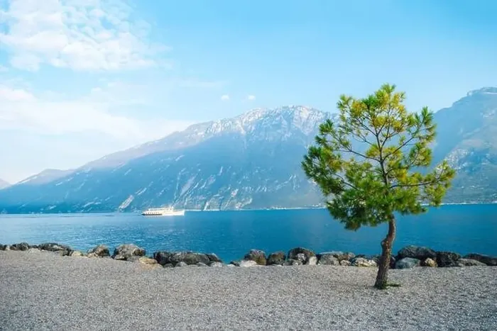 Framed Print : Green tree on shore of valley of beautiful lake Garda among the mountains Framed Print : Green tree on shore of valley of beautiful lake Garda among the mountains