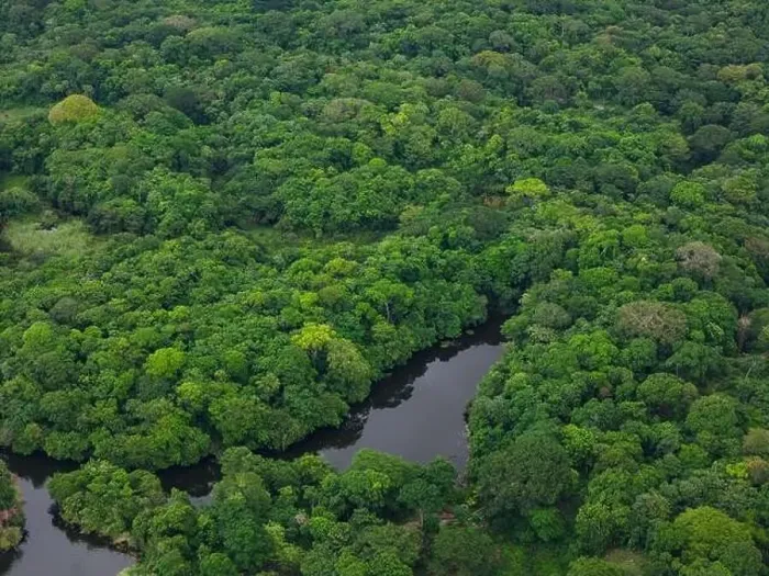 Framed Print : Green tropical jungle with pond aerial drone view Framed Print : Green tropical jungle with pond aerial drone view