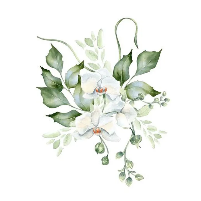 Framed Print : Greenery bouquet of holly branches and orchid bloom delicate watercolor illustration isolated Framed Print : Greenery bouquet of holly branches and orchid bloom delicate watercolor illustration isolated