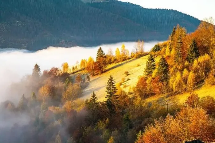 Framed Print : Grey mist covered with the colorful trees on mountain hils Framed Print : Grey mist covered with the colorful trees on mountain hils