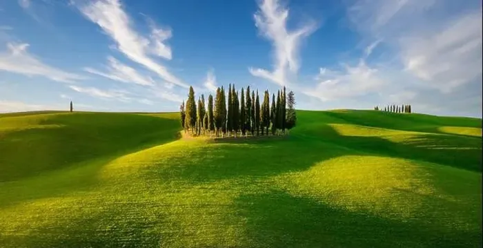 Framed Print : Group of Italian cypresses near San Quirico dOrcia Framed Print : Group of Italian cypresses near San Quirico dOrcia