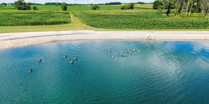 Framed Print : A grouping of birds swim on a summer day on a small pond next to a group of farm fields Framed Print : A grouping of birds swim on a summer day on a small pond next to a group of farm fields