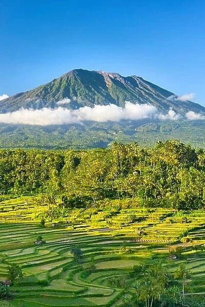 Gunung Agung Volcano and rice terrace landscape, Bali, Indonesia