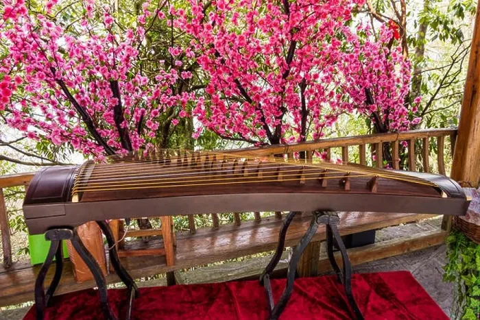 Framed Print : Guzheng instrument on the background of beautiful blossom flowers at Tianmen Mountain Framed Print : Guzheng instrument on the background of beautiful blossom flowers at Tianmen Mountain