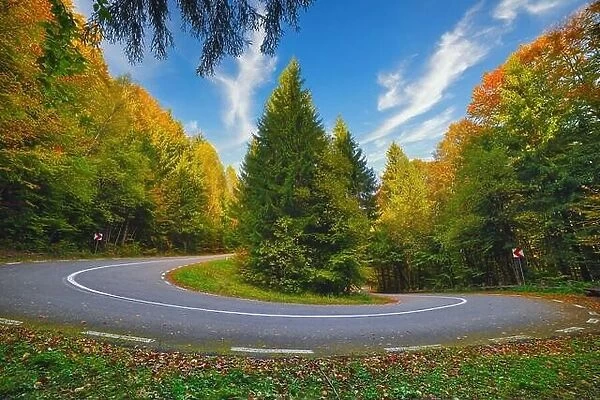 A hairpin in a mountain road in autumn colored forest at sunrise