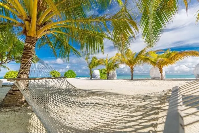 Framed Print : Hammock between two coconut trees on a tropical island with beautiful beach. Luxury summer travel beach sand with palm trees, sunny paradise landscape Framed Print : Hammock between two coconut trees on a tropical island with beautiful beach. Luxury summer travel beach sand with palm trees, sunny paradise landscape