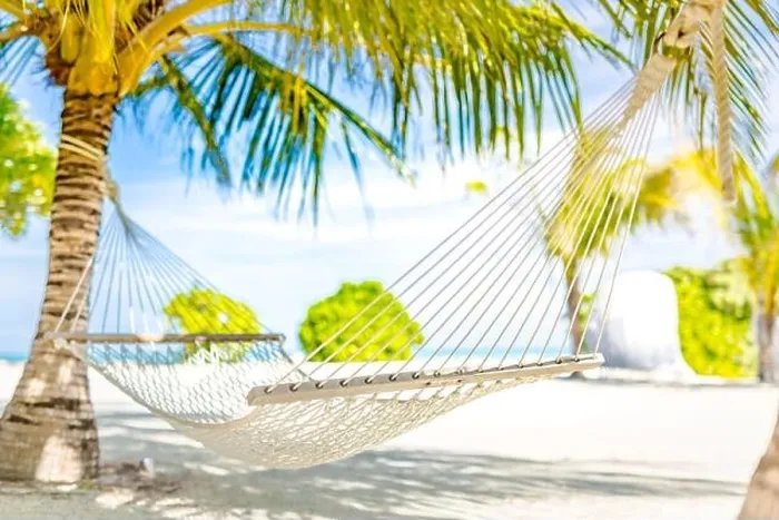 Framed Print : Hammock between two coconut trees on a tropical island with beautiful beach. Blurred tropical landscape Framed Print : Hammock between two coconut trees on a tropical island with beautiful beach. Blurred tropical landscape