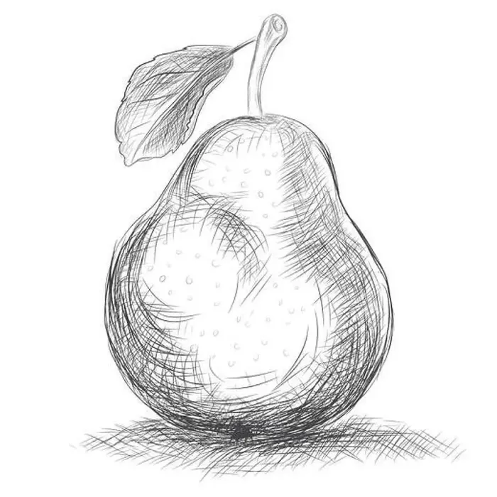 Framed Print : Hand drawing pear Framed Print : Hand drawing pear