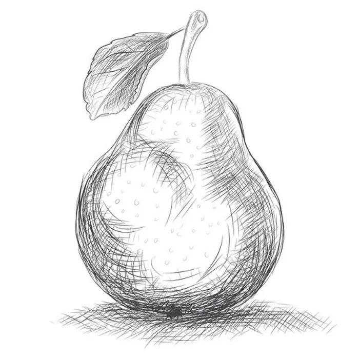 Framed Print : Hand drawing pear. Rasterized Copy Framed Print : Hand drawing pear. Rasterized Copy