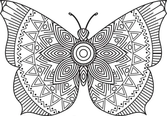 Framed Print : hand drawn for adult coloring pages with butterfly zentangle monochrome sketch