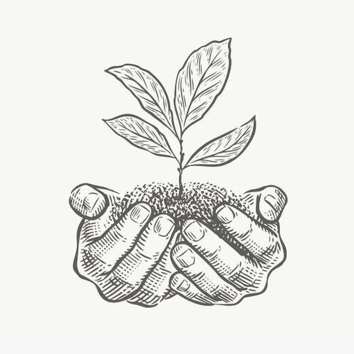 Framed Print : Hands and plant sketch vector illustration. Environment protection, business concept Framed Print : Hands and plant sketch vector illustration. Environment protection, business concept