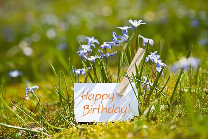 Framed Print : „Happy Birthday! with spring flowers Framed Print : „Happy Birthday! with spring flowers