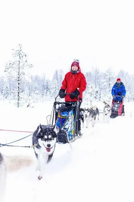 Framed Print : Happy couple smiling at camera dogsledding in the snowy landscape Framed Print : Happy couple smiling at camera dogsledding in the snowy landscape