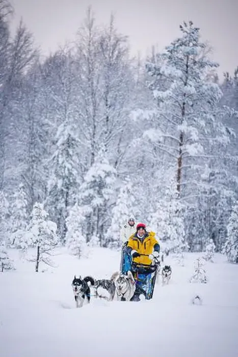 Framed Print : Happy man with daughter having fun dog sledding in the snow