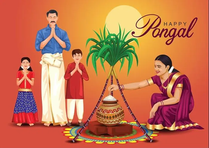 Framed Print : Happy Pongal celebration with sugarcane Framed Print : Happy Pongal celebration with sugarcane