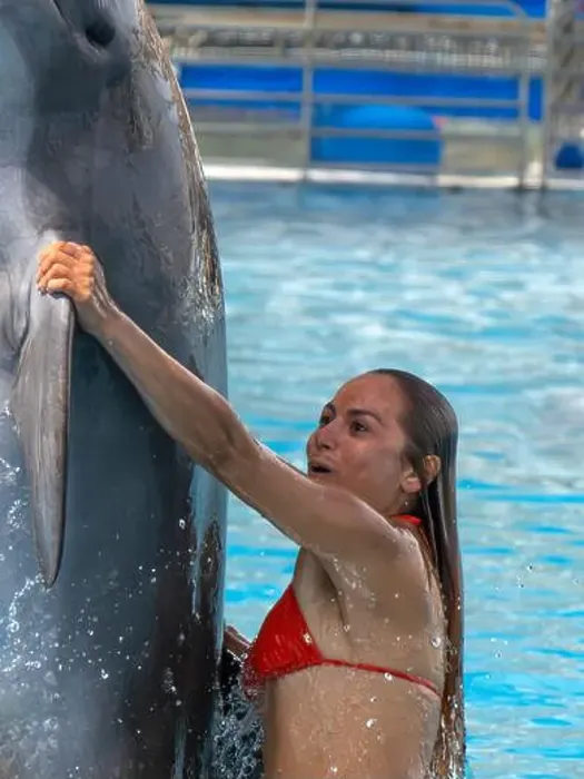 Framed Print : An Happy red hair latina girl swimming with a dolphin