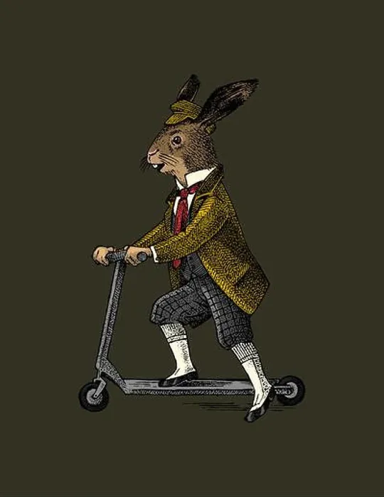 Framed Print : Hare or rabbit rides a scooter Framed Print : Hare or rabbit rides a scooter
