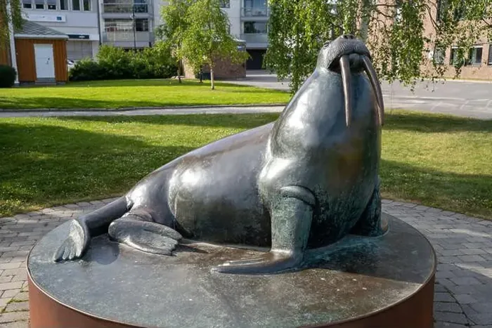 Framed Print : Harstad, Norway - 07.05.2024: Sculpture of Walrus on Harstad Embankment in Norway Framed Print : Harstad, Norway - 07.05.2024: Sculpture of Walrus on Harstad Embankment in Norway