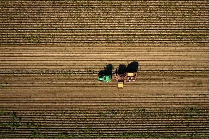 Framed Print : Harvest of potatoes at a field, captured by a drone from above with countryside worker collecting potatoes on a tractor Framed Print : Harvest of potatoes at a field, captured by a drone from above with countryside worker collecting potatoes on a tractor