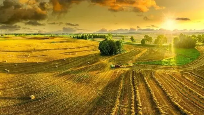 Framed Print : Harvest in Warmia in north-eastern Poland Framed Print : Harvest in Warmia in north-eastern Poland