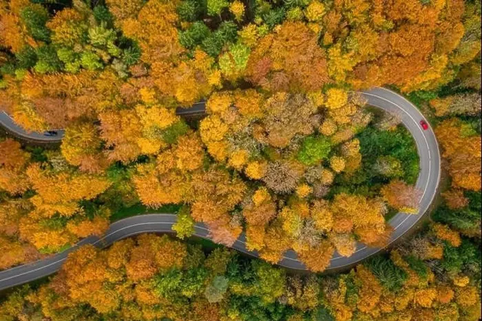 Framed Print : Having a trip in the autumn season, driving by car through the wonderful foliage. Top down shot by a drone Framed Print : Having a trip in the autumn season, driving by car through the wonderful foliage. Top down shot by a drone