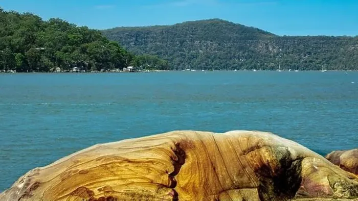 Framed Print : Hawkesbury River on Sydney Central Coast NSW Australia fishing boating wildlife boats yachts seafood restaurants with Framed Print : Hawkesbury River on Sydney Central Coast NSW Australia fishing boating wildlife boats yachts seafood restaurants with