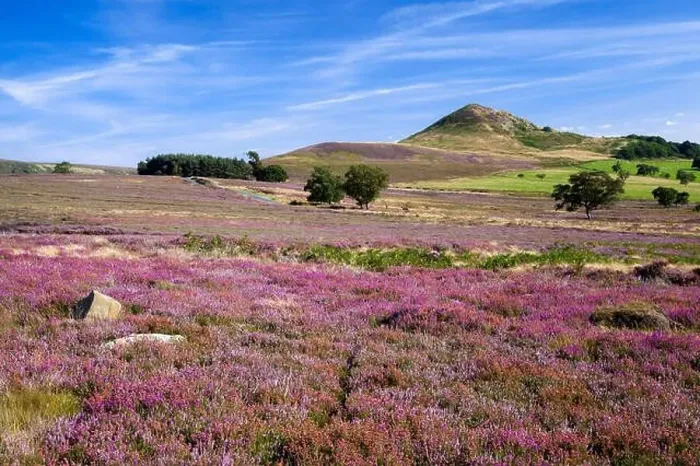 Framed Print : Hawnby Hill from Hawnby Moor North York Moors national park North Yorkshire England, UK Framed Print : Hawnby Hill from Hawnby Moor North York Moors national park North Yorkshire England, UK