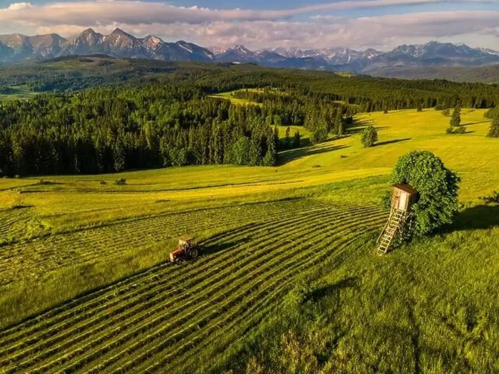 Framed Print : Haymaking in Meadows in Lapszanka with High Tatras Mountains in background Framed Print : Haymaking in Meadows in Lapszanka with High Tatras Mountains in background
