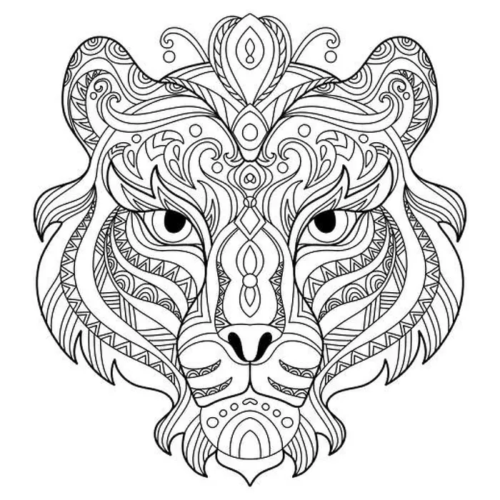 Framed Print : Head of tiger. Abstract vector contour illustration isolated on white background Framed Print : Head of tiger. Abstract vector contour illustration isolated on white background