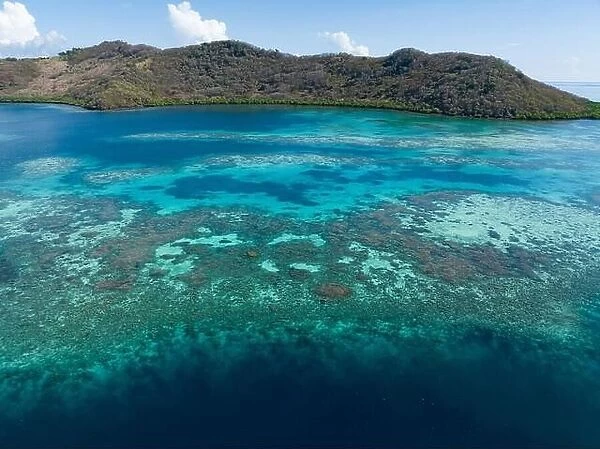 A healthy coral reef thrives off the Pulau Besar north of Flores, Indonesia. This exotic, tropical region is known for its high marine biodiversity