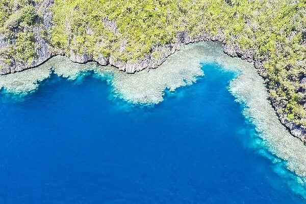 Healthy coral reefs fringe the limestone islands found in Raja Ampat, Indonesia. This remote, tropical region is known for its marine biodiversity