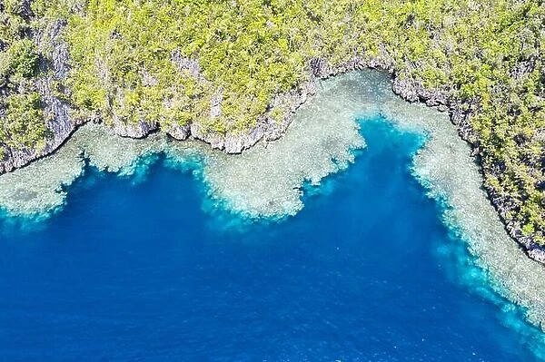 Healthy coral reefs surround the limestone islands found in Raja Ampat, Indonesia. This remote, tropical region is known for its marine biodiversity