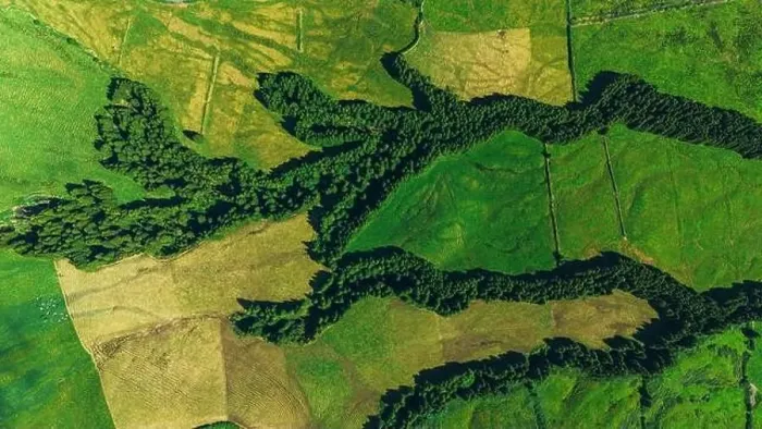 Framed Print : High-angle aerial shot capturing the contrasting landscapes of the Azores vast green fields split by winding rows of Framed Print : High-angle aerial shot capturing the contrasting landscapes of the Azores vast green fields split by winding rows of