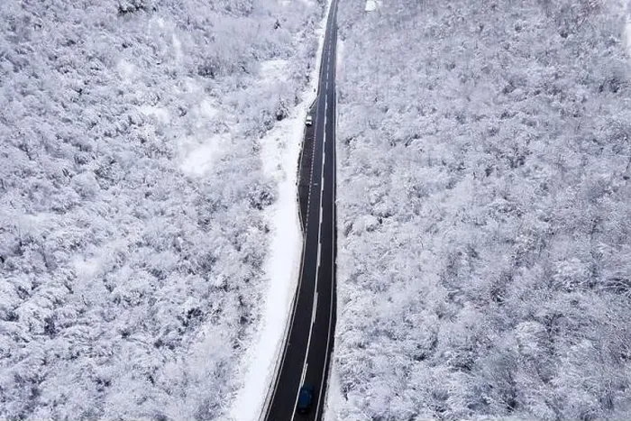 Framed Print : High angle aerial view drone image on the road trough the trees Framed Print : High angle aerial view drone image on the road trough the trees