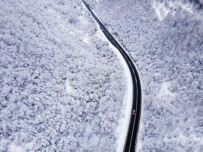 Framed Print : High angle aerial view drone image on the road trough the trees Framed Print : High angle aerial view drone image on the road trough the trees