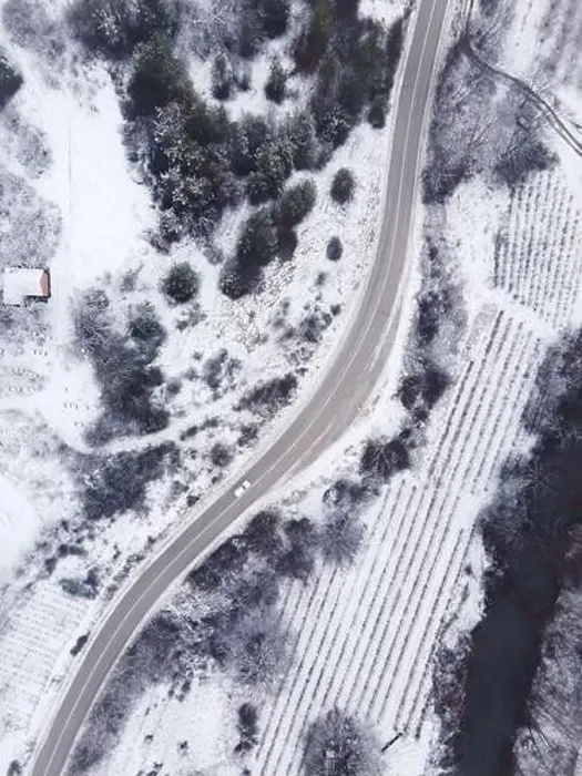 Framed Print : High angle top down aerial view drone image on road trough the trees Framed Print : High angle top down aerial view drone image on road trough the trees