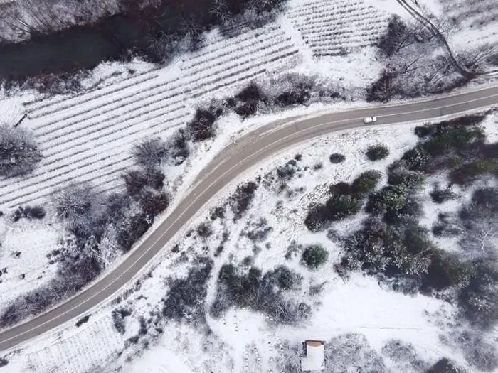 Framed Print : High angle top down aerial view drone image on road trough the trees Framed Print : High angle top down aerial view drone image on road trough the trees