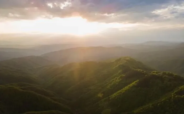 Framed Print : High angle aerial view drone image of sunset sun rays trough the trees Framed Print : High angle aerial view drone image of sunset sun rays trough the trees