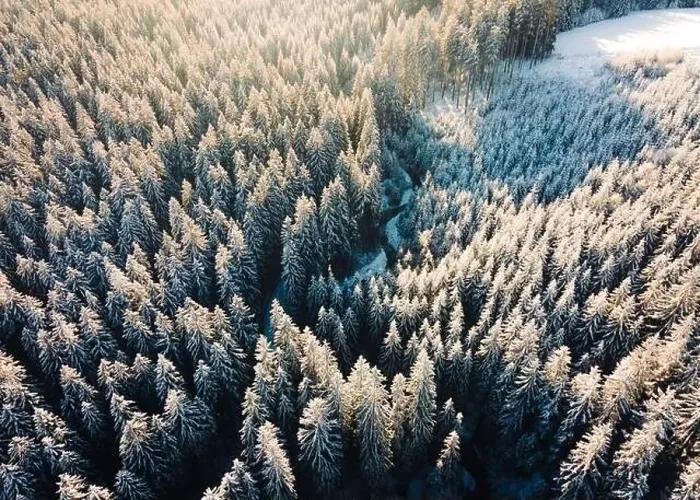Framed Print : High quality aerial photo of a deep forest covered in the snow in the central Europe. Arctic aerial winter in the woods Framed Print : High quality aerial photo of a deep forest covered in the snow in the central Europe. Arctic aerial winter in the woods