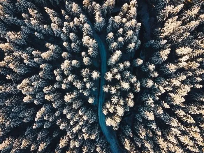 Framed Print : High quality aerial photo of a road leading through the deep forest covered in the snow in the central Europe