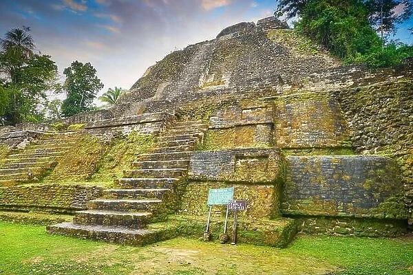 High Temple (the highest temple in Lamanai), Ancien tMaya Ruins, Lamanai, Belize