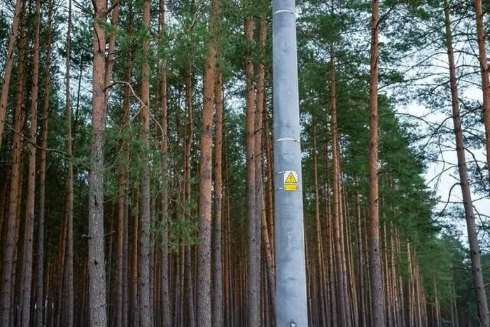 Framed Print : High voltage electric pole in the forest Framed Print : High voltage electric pole in the forest