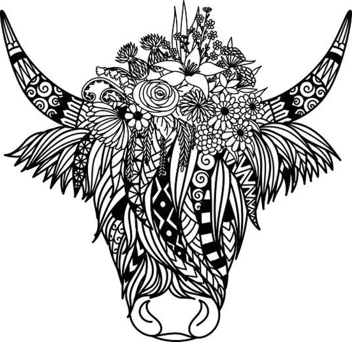 Framed Print : Highland cow with flowers design for coloring book, coloring page, t shirt design and so on. Vector illustration Framed Print : Highland cow with flowers design for coloring book, coloring page, t shirt design and so on. Vector illustration