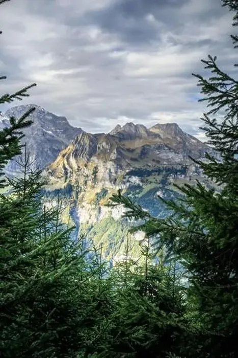 Framed Print : Hiking near Engelberg with a view of the Swiss Alps, summer Framed Print : Hiking near Engelberg with a view of the Swiss Alps, summer