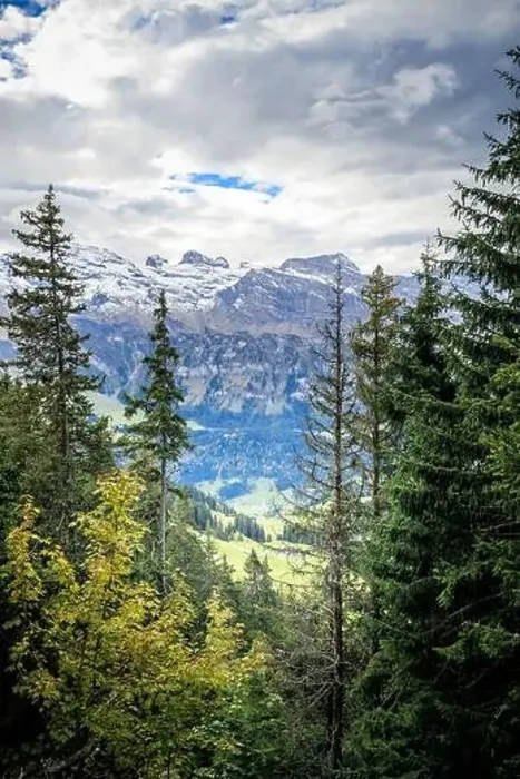 Framed Print : Hiking near Engelberg with a view of the Swiss Alps, summer Framed Print : Hiking near Engelberg with a view of the Swiss Alps, summer