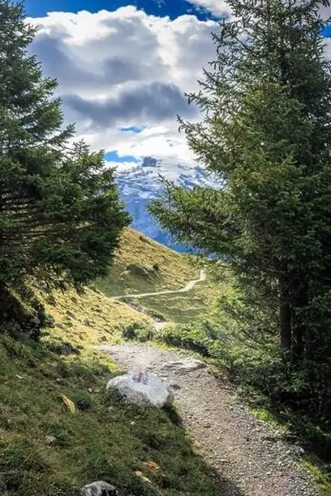 Framed Print : Hiking near Engelberg with a view of the Swiss Alps, summer Framed Print : Hiking near Engelberg with a view of the Swiss Alps, summer