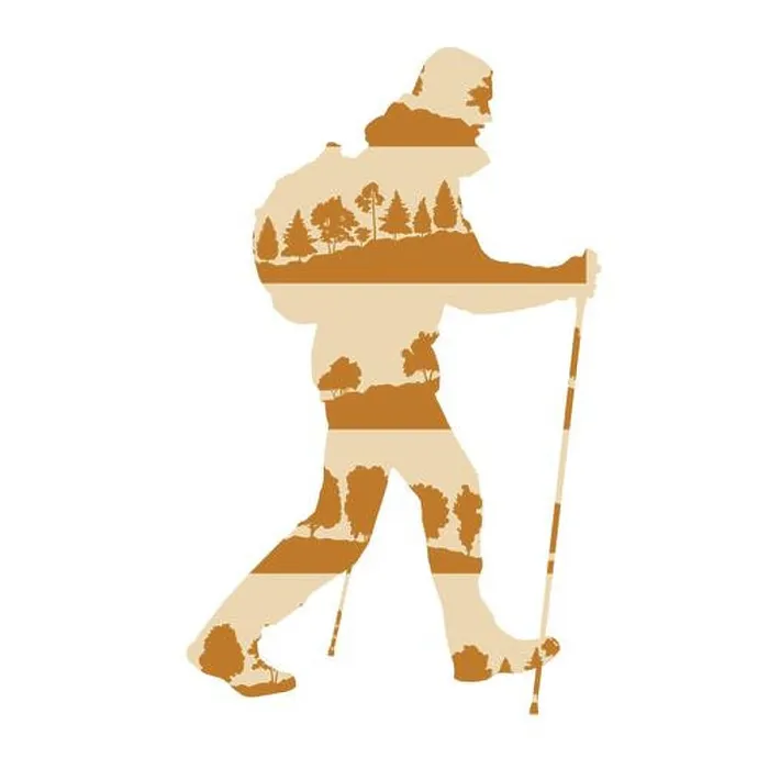 Framed Print : Hiking and nordic walking vector background concept made of forest trees fragments isolated on white Framed Print : Hiking and nordic walking vector background concept made of forest trees fragments isolated on white